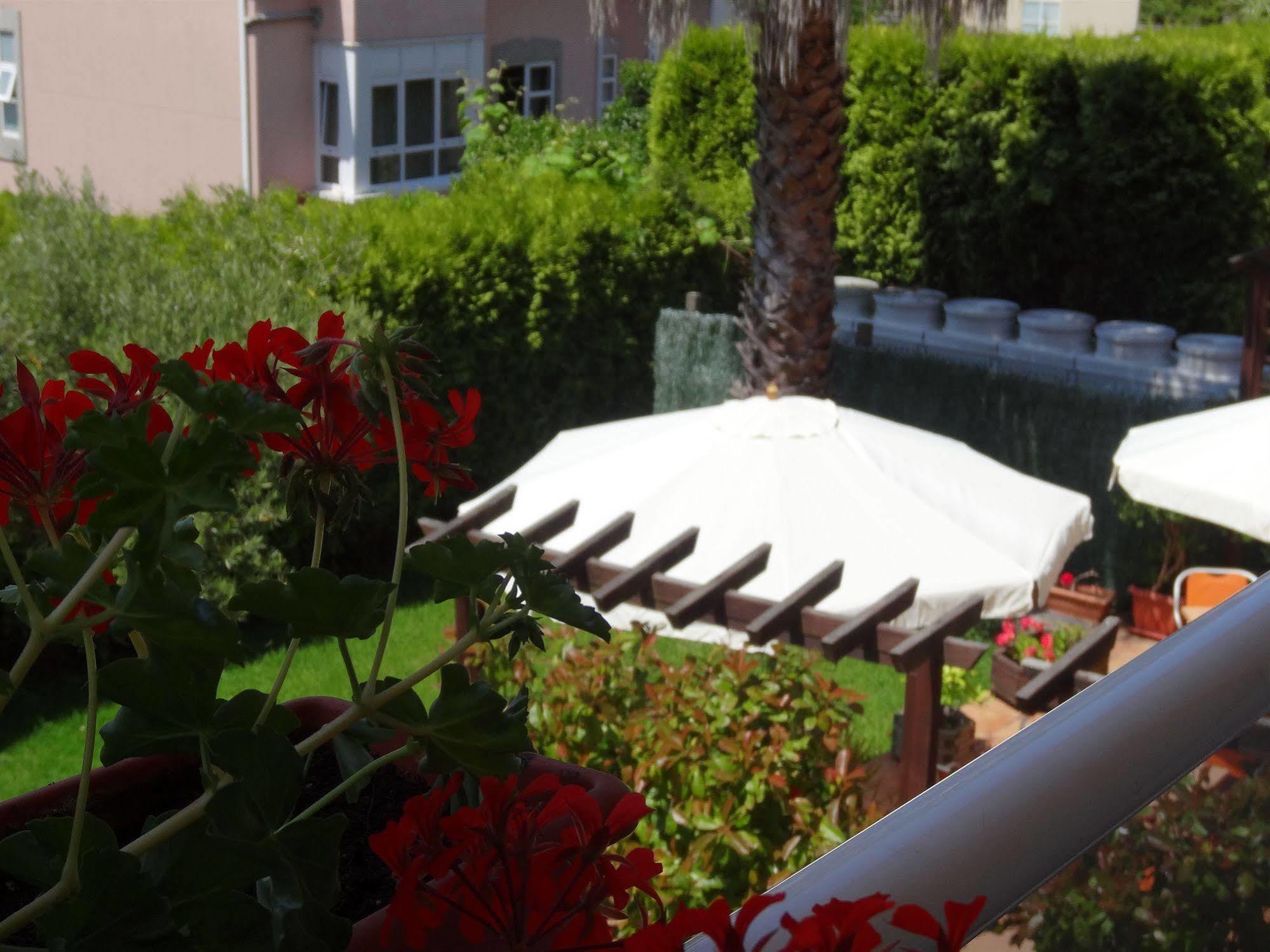 Hotel El Pescador Perillo Εξωτερικό φωτογραφία
