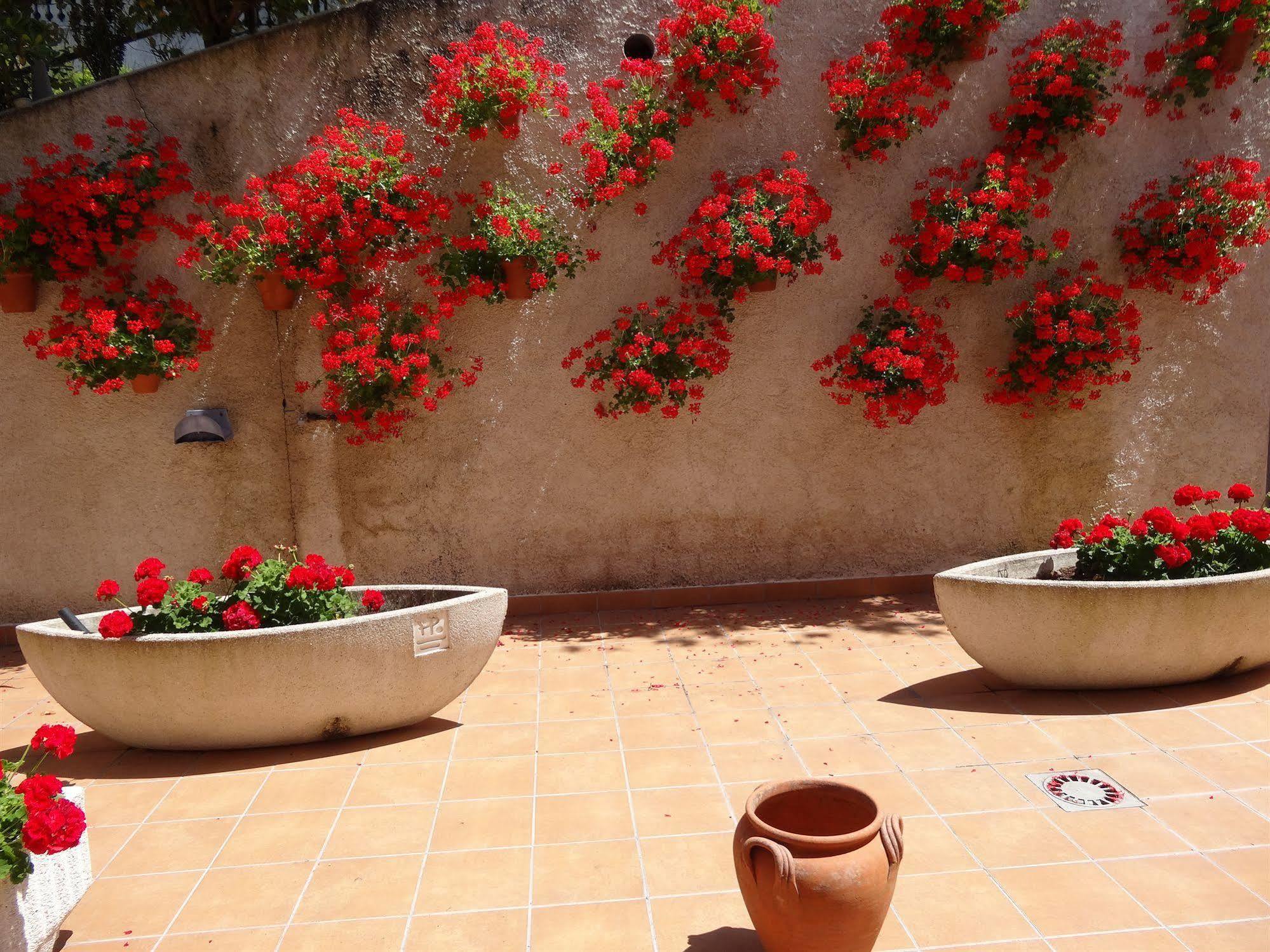 Hotel El Pescador Perillo Εξωτερικό φωτογραφία